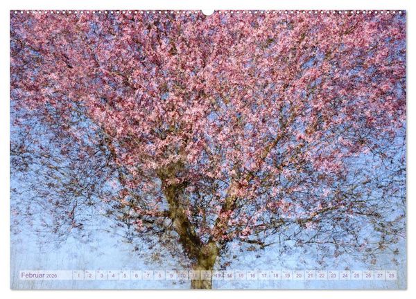 Produktbild: Vielfalt der B&auml;ume - variety of trees (hochwertiger Premium Wandkalender 2026 DIN A2 quer), Kunstdruck in Hochglanz