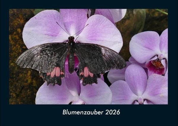 Blumenzauber 2026 Fotokalender DIN A4