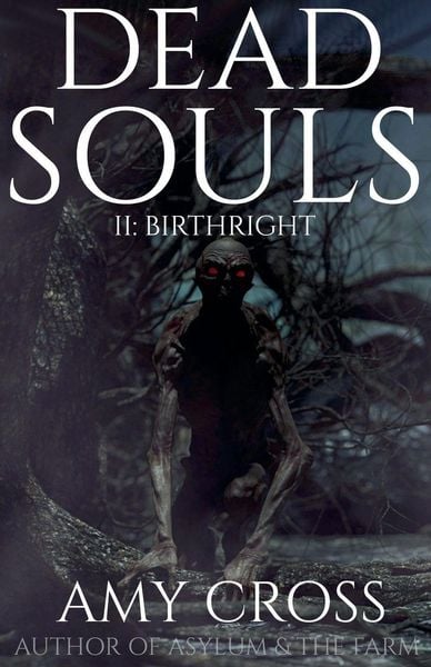 Produktbild: Birthright