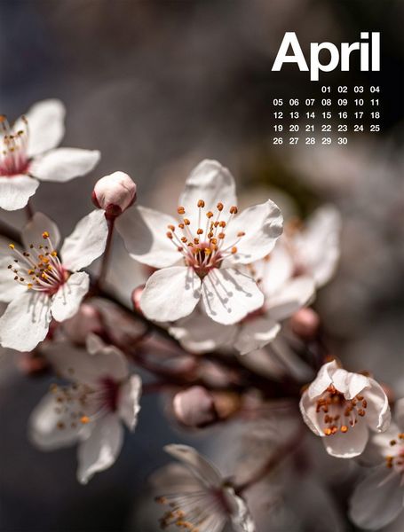 Produktbild: Fr&uuml;hling, Sommer, Herbst & Winter Kalender 2027
