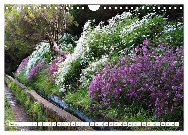 Produktbild: Bl&uuml;tenzauber auf Madeira. Wildblumen und Ziergew&auml;chse (Wandkalender 2027 DIN A4 quer), CALVENDO Monatskalender