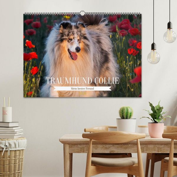 Produktbild: Traumhund Collie - Mein bester Freund (Wandkalender 2026 DIN A2 quer), CALVENDO Monatskalender
