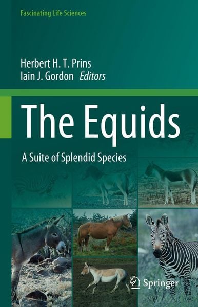 Produktbild: The Equids