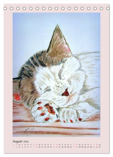 Produktbild: PortraiTierART Samtpf&ouml;tchen (Tischkalender 2026 DIN A5 hoch), CALVENDO Monatskalender