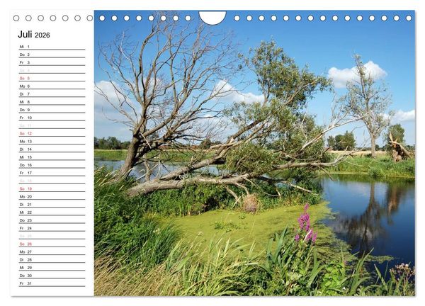 Produktbild: Vier Jahreszeiten im Land Brandenburg (Wandkalender 2026 DIN A4 quer), CALVENDO Monatskalender