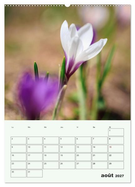 Produktbild: Les fleurs, &eacute;ternelles &eacute;phem&egrave;res (Calendrier mural haut de gamme 2027 DIN A2 horizontal), CALVENDO calendrier mensuel