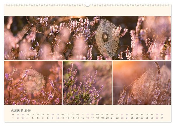Mehlinger Heide (Wandkalender 2025 DIN A2 quer), CALVENDO Monatskalender
