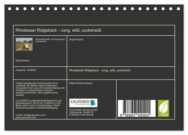 Produktbild: Rhodesian Ridgeback - Jung, wild, zuckers&uuml;&szlig; (Tischkalender 2026 DIN A5 quer), CALVENDO Monatskalender