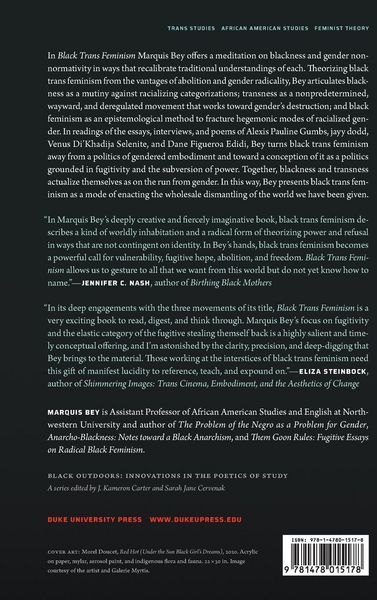 Produktbild: Black Trans Feminism