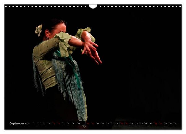 Produktbild: Flamenco. Spanischer Tanz (Wandkalender 2026 DIN A3 quer), CALVENDO Monatskalender