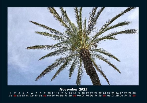 Produktbild: Palmentraum 2025 Fotokalender DIN A4