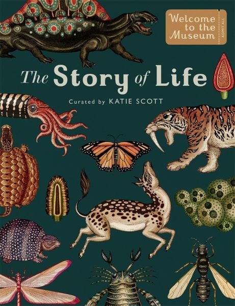 Produktbild: The Story of Life: Evolution (Extended Edition)