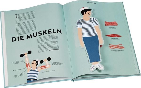 Produktbild: Anatomie