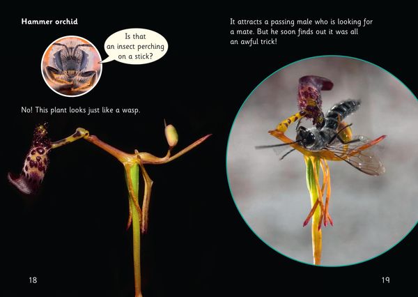 Produktbild: Plant Monsters