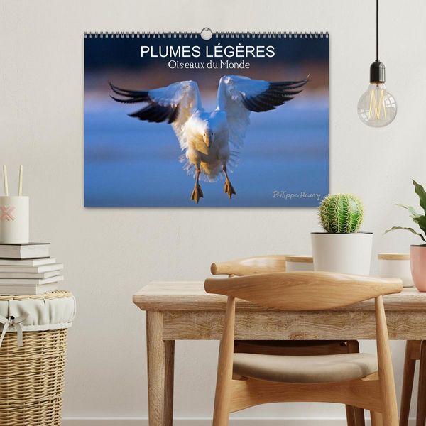 Produktbild: PLUMES L&Eacute;G&Egrave;RES. Oiseaux du Monde (Calendrier mural 2026 DIN A3 vertical), CALVENDO calendrier mensuel