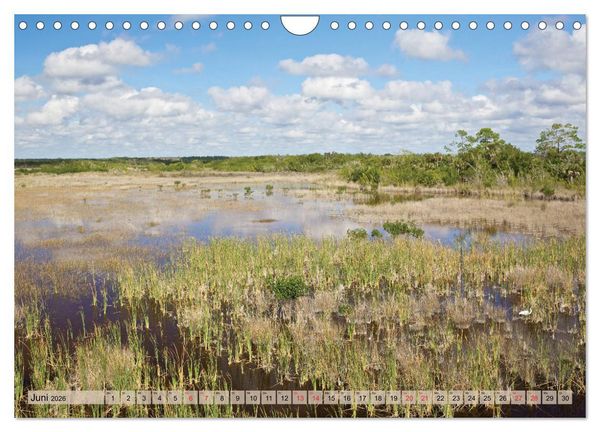Produktbild: GEOclick calendar: Florida (Wandkalender 2026 DIN A4 quer), CALVENDO Monatskalender