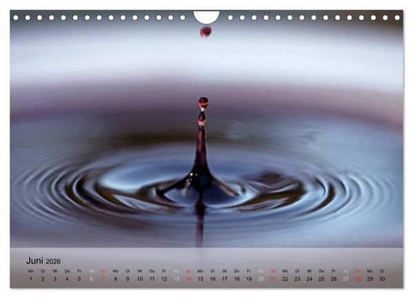 Produktbild: Wein schmeckt fein (Wandkalender 2026 DIN A4 quer), CALVENDO Monatskalender