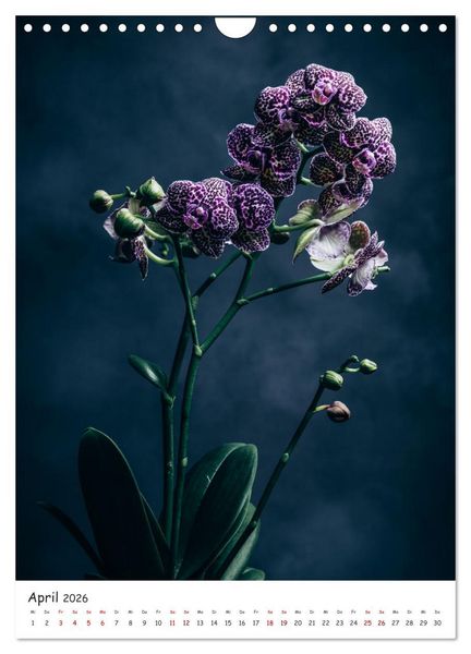 Produktbild: Orchideen Zauber (Wandkalender 2026 DIN A4 hoch), CALVENDO Monatskalender