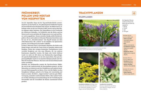 Produktbild: Das Bienenjahr