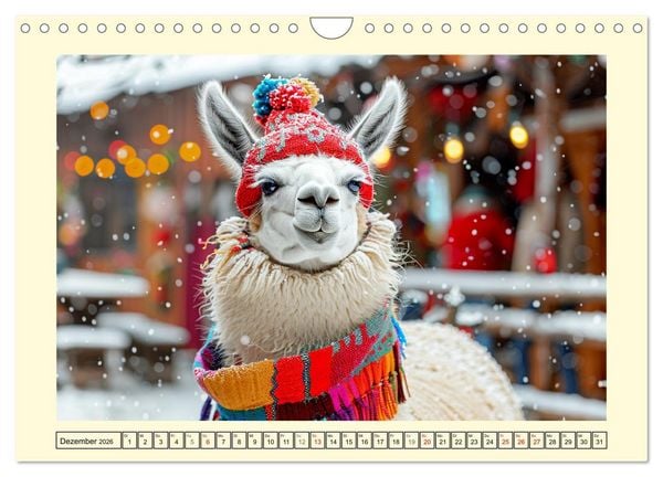 Produktbild: Lamas auf Tour. Perus flauschige Fashion-Ikonen (Wandkalender 2026 DIN A4 quer), CALVENDO Monatskalender
