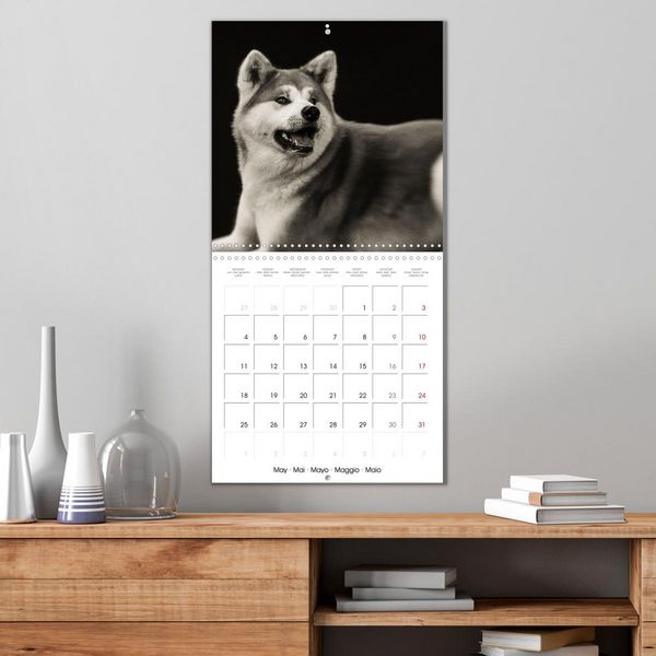 Produktbild: Portraits canins (Calendrier mural carr&eacute; 2026 30x30 cm) Calendrier double avec une page pour vos prises de notes