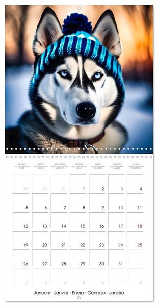 Produktbild: Kleemann, C: Dogs with matching hats (Wall Calendar 2026 12