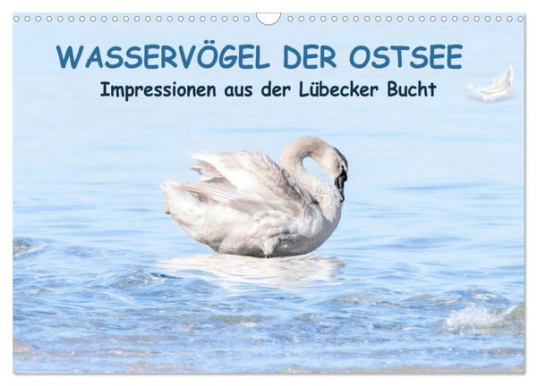 Wasservögel der Ostsee - Impressionen aus der Lübecker Bucht (Wandkalender 2026 DIN A3 quer), CALVENDO Monatskalender