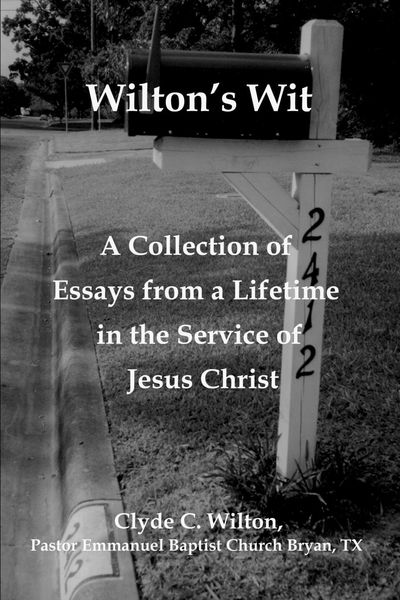 Produktbild: Wilton's Wit
