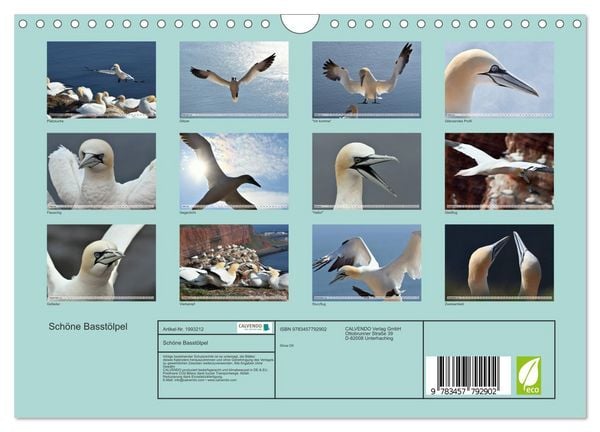 Produktbild: Sch&ouml;ne Basst&ouml;lpel (Wandkalender 2026 DIN A4 quer), CALVENDO Monatskalender