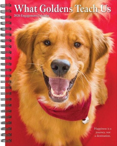 Produktbild: What Goldens Teach Us 2026 Engagement Calendar