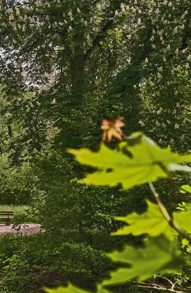Produktbild: Goethes Gartenhaus