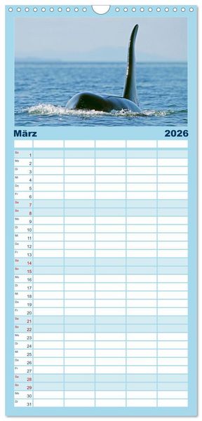 Produktbild: Familienplaner 2026 - Orcas: Schwarz-wei&szlig;e Giganten mit 5 Spalten (Wandkalender, 21 x 45 cm) CALVENDO