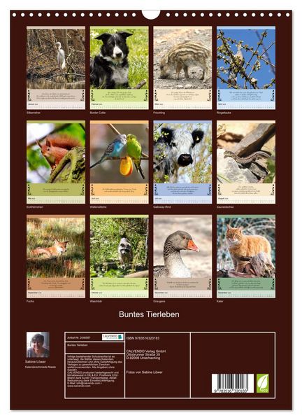 Produktbild: Buntes Tierleben (Wandkalender 2026 DIN A3 hoch), CALVENDO Monatskalender