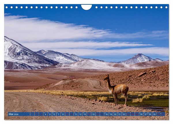 Produktbild: Atacama: Karge W&uuml;ste, m&auml;chtige Vulkane und farbenpr&auml;chtige Lagunen (Wandkalender 2026 DIN A4 quer), CALVENDO Monatskalender