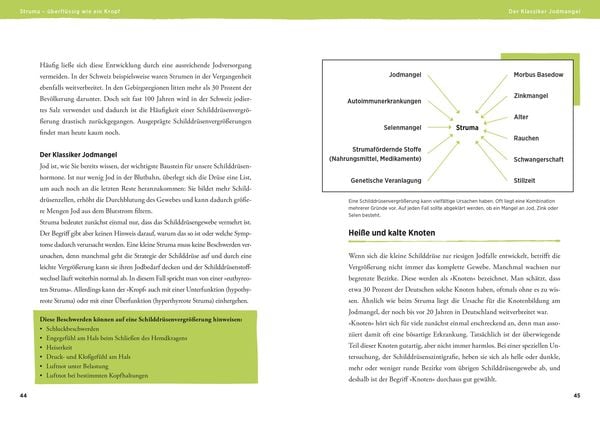 Produktbild: Power f&uuml;r die Schilddr&uuml;se - Alles f&uuml;r einen gesunden Hormonhaushalt. Mit Praxistipps bei &Uuml;berfunktion, Unterfunktion und Hashimoto