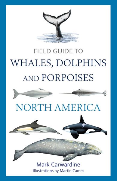 Produktbild: Field Guide to Whales, Dolphins and Porpoises of North America
