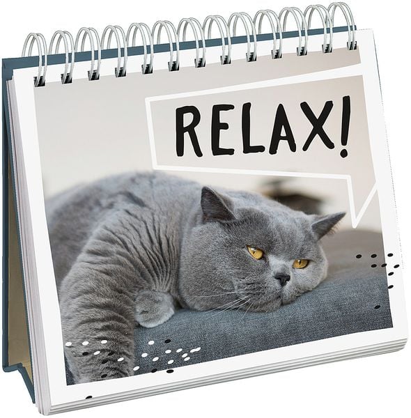 Produktbild: Cat philosophy