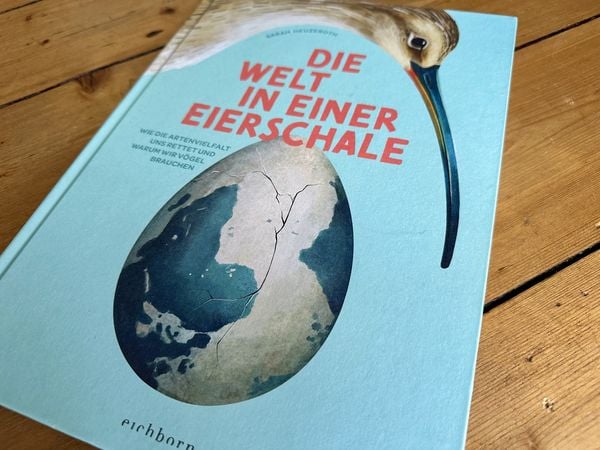 Produktbild: Die Welt in einer Eierschale
