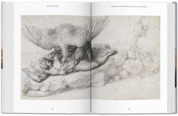 Produktbild: Michel-Ange. L'œuvre peint, sculpté et architectural complet