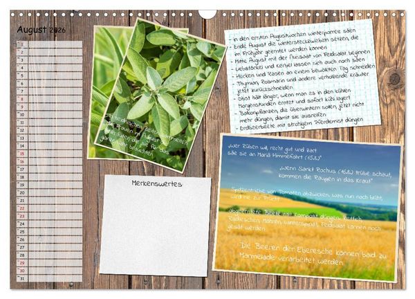 Produktbild: Was ist noch im Garten zu tun? (Wandkalender 2026 DIN A3 quer), CALVENDO Monatskalender