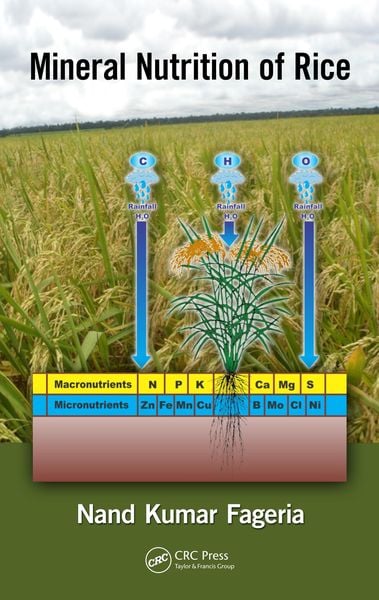 Produktbild: Mineral Nutrition of Rice