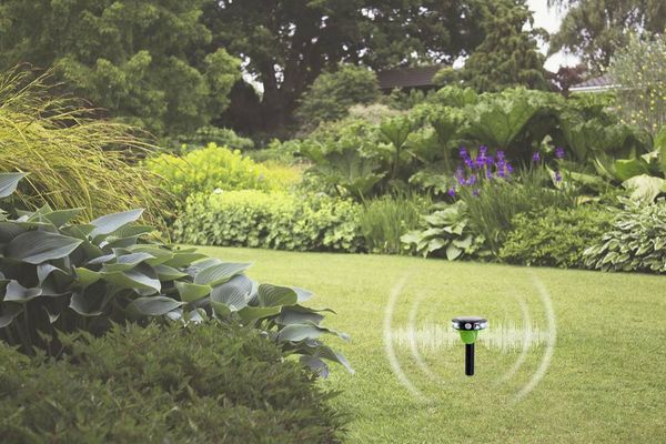 Produktbild: Gardigo Solar Vogelvertreiber Funktionsart Abschreckung 1 St.