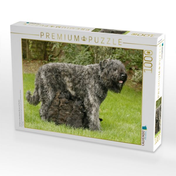Produktbild: CALVENDO Puzzle Ein Motiv aus dem Kalender Bouvier des Flandres | 1000 Teile Lege-Gr&ouml;&szlig;e 64x48cm Foto-Puzzle f&uuml;r gl&uuml;ckliche Stunden