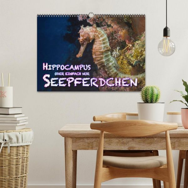 Produktbild: Hippocampus oder einfach nur Seepferdchen (Wandkalender 2026 DIN A3 quer), CALVENDO Monatskalender