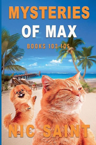 Produktbild: The Mysteries of Max