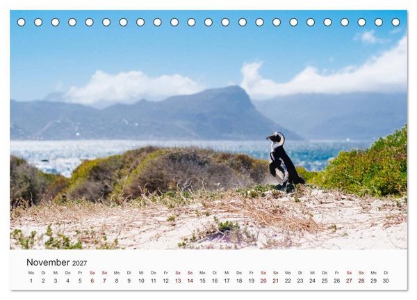Produktbild: Pinguine - Die sympathischen Frack-Tr&auml;ger (Tischkalender 2027 DIN A5 quer), CALVENDO Monatskalender