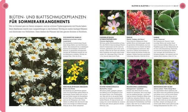 Produktbild: So geht Garten