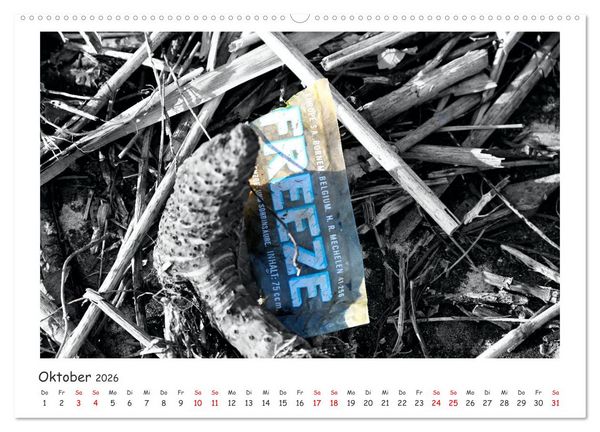 Produktbild: Gestrandet -Treibgut- (hochwertiger Premium Wandkalender 2026 DIN A2 quer), Kunstdruck in Hochglanz
