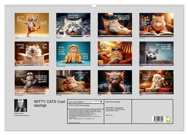 Produktbild: WITTY CATS Cool sayings (Wall Calendar 2026 DIN A2 landscape), CALVENDO 12 Month Wall Calendar