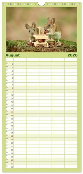 Produktbild: Familienplaner 2026 - Geheimes Waldleben mit 5 Spalten (Wandkalender, 21 x 45 cm) CALVENDO